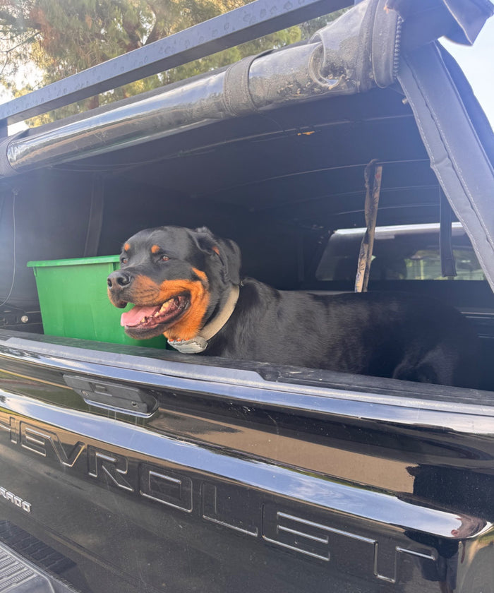 Sean B.'s Chevrolet Silverado 1500 with a WildTop Nomad · Windows — Firefighter. Surfer. Sleeps in it between shifts.