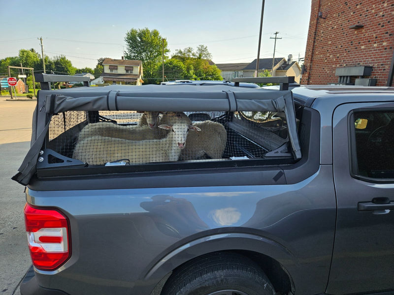 Hauls sheep on a Maverick — Philip H.'s Ford Maverick with a WildTop Nomad
